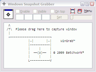 Windows Snapshot Grabber